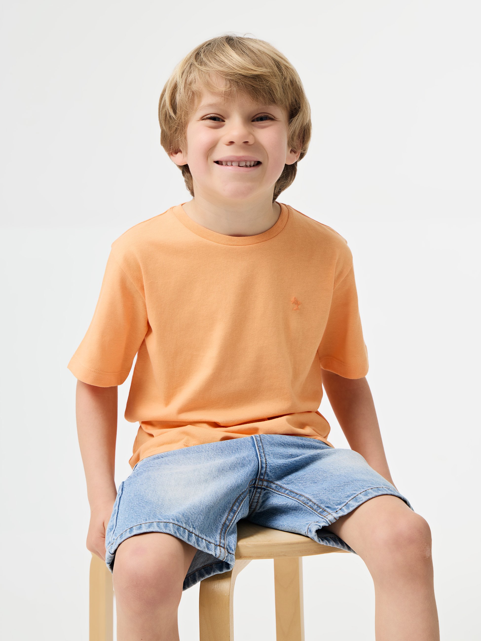 T-Shirt 100% algodão