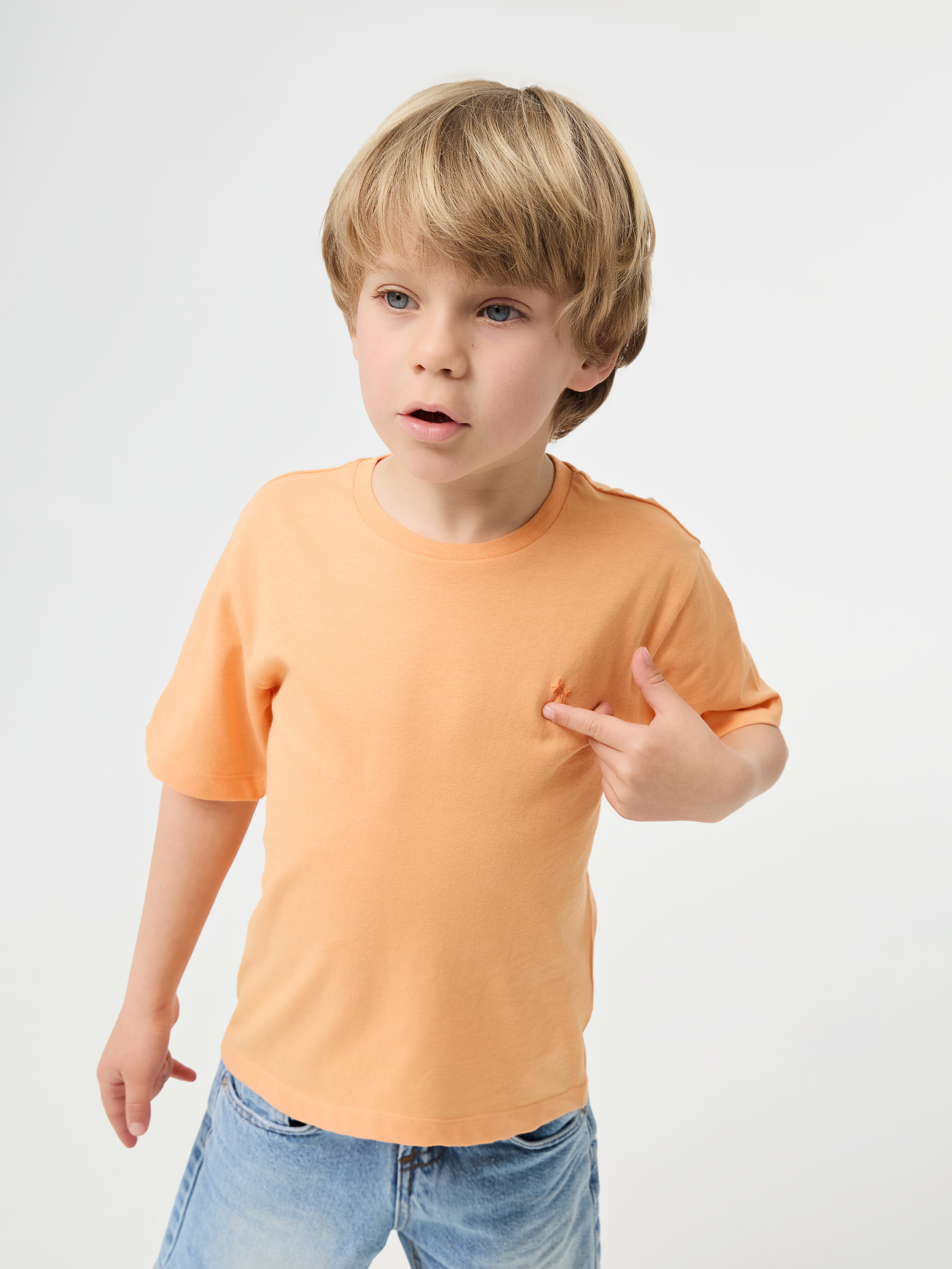 T-Shirt 100% algodão