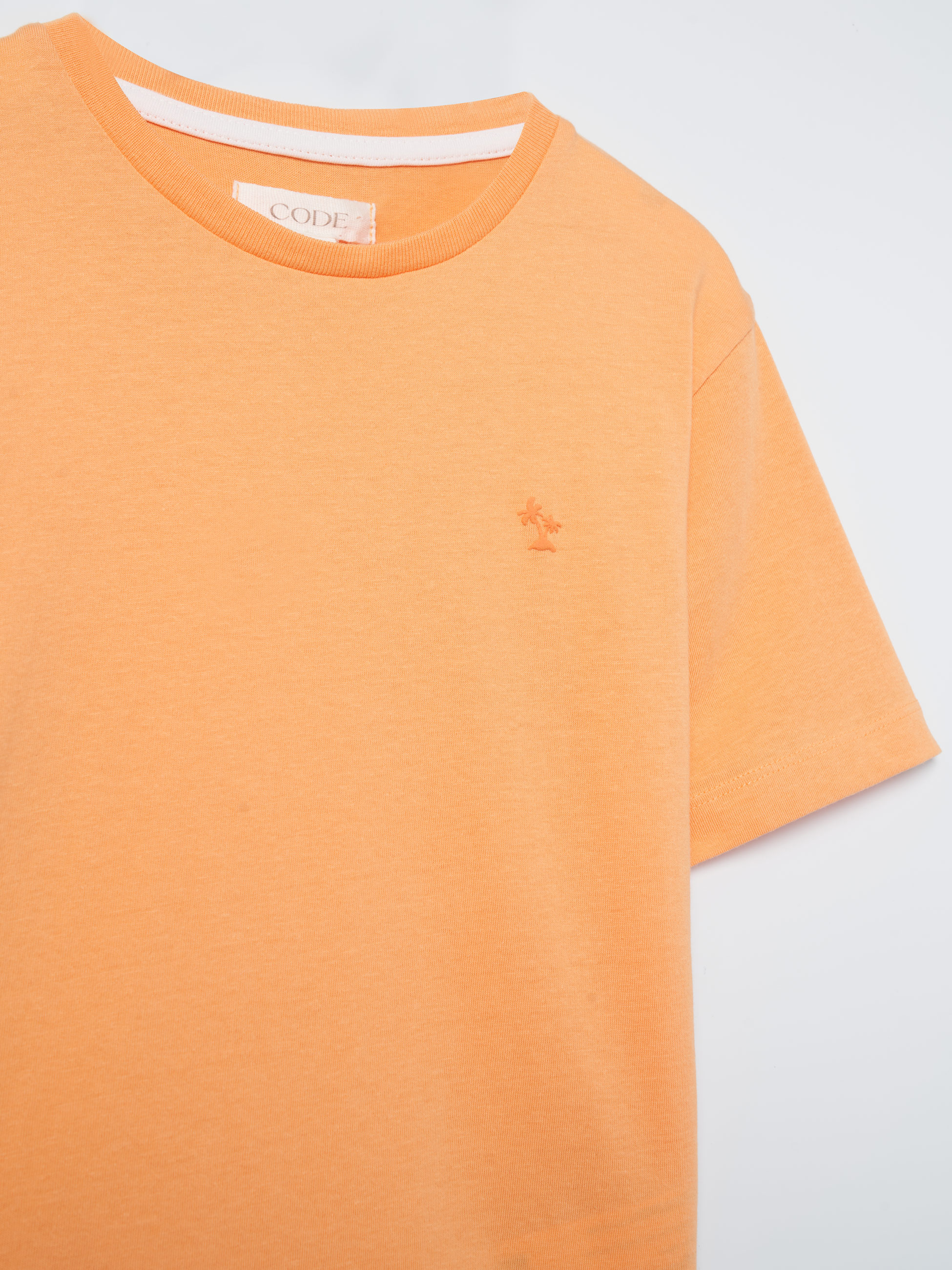 T-Shirt 100% algodão