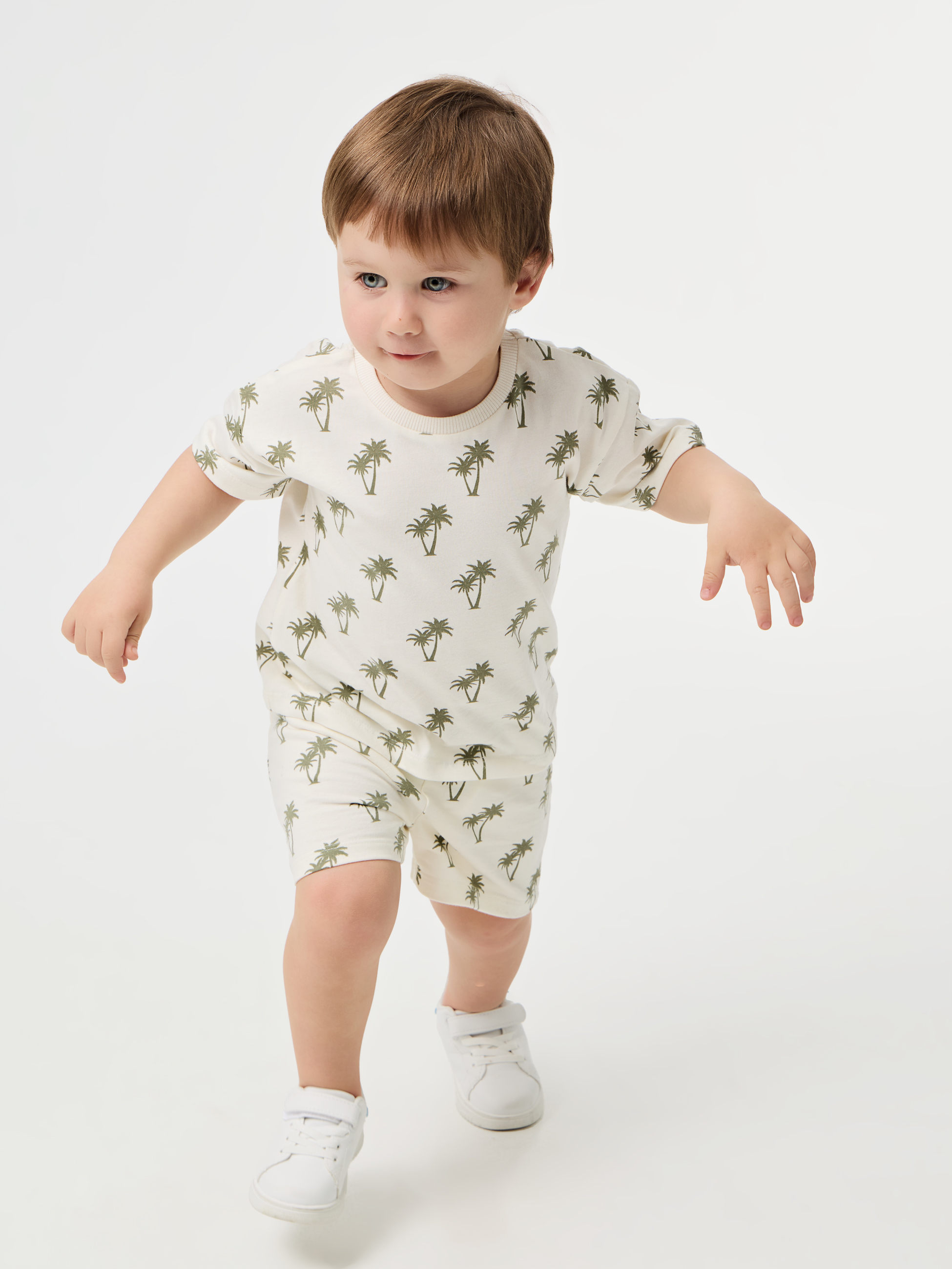 Conjunto com palmeiras