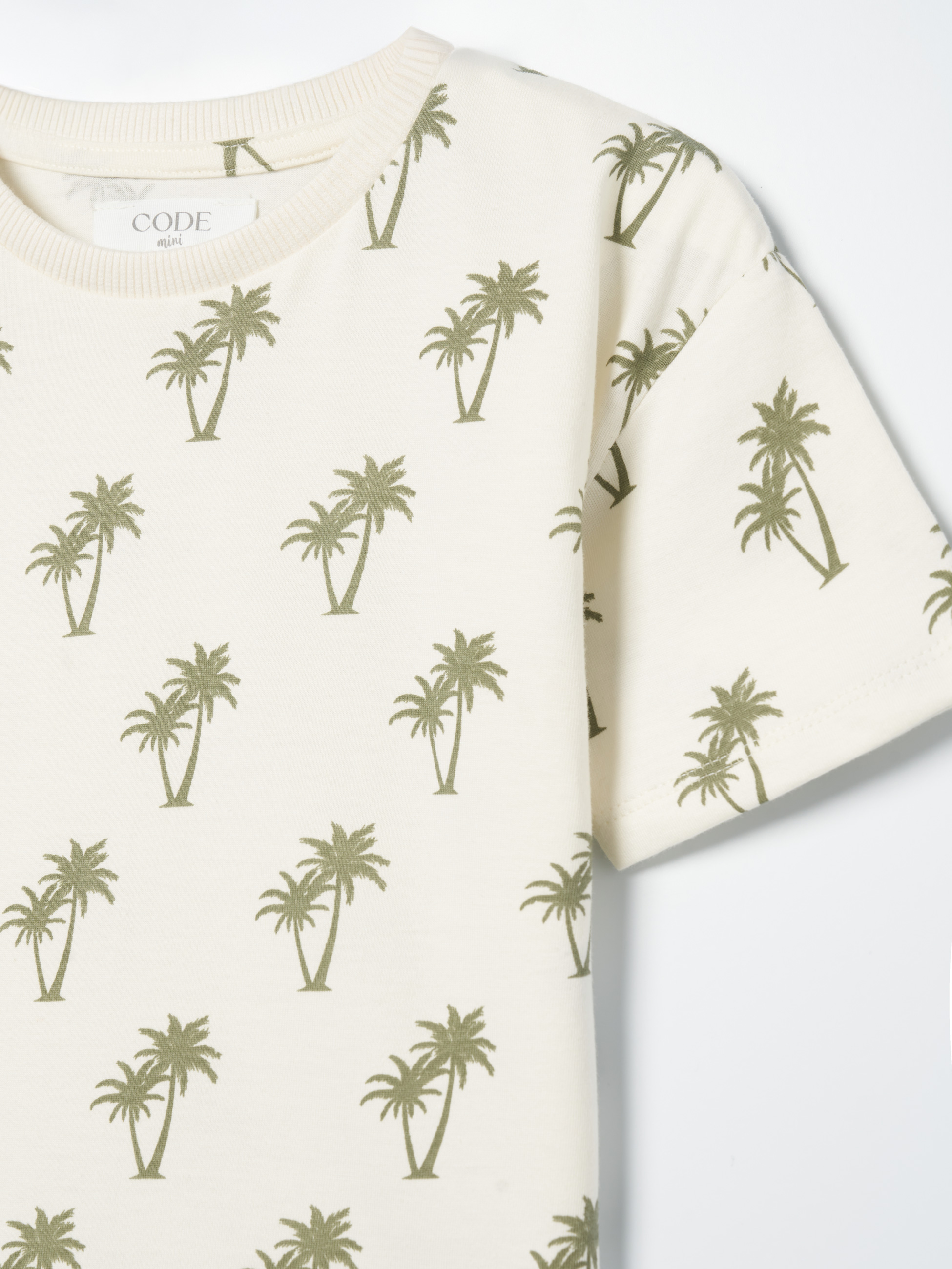 Conjunto com palmeiras