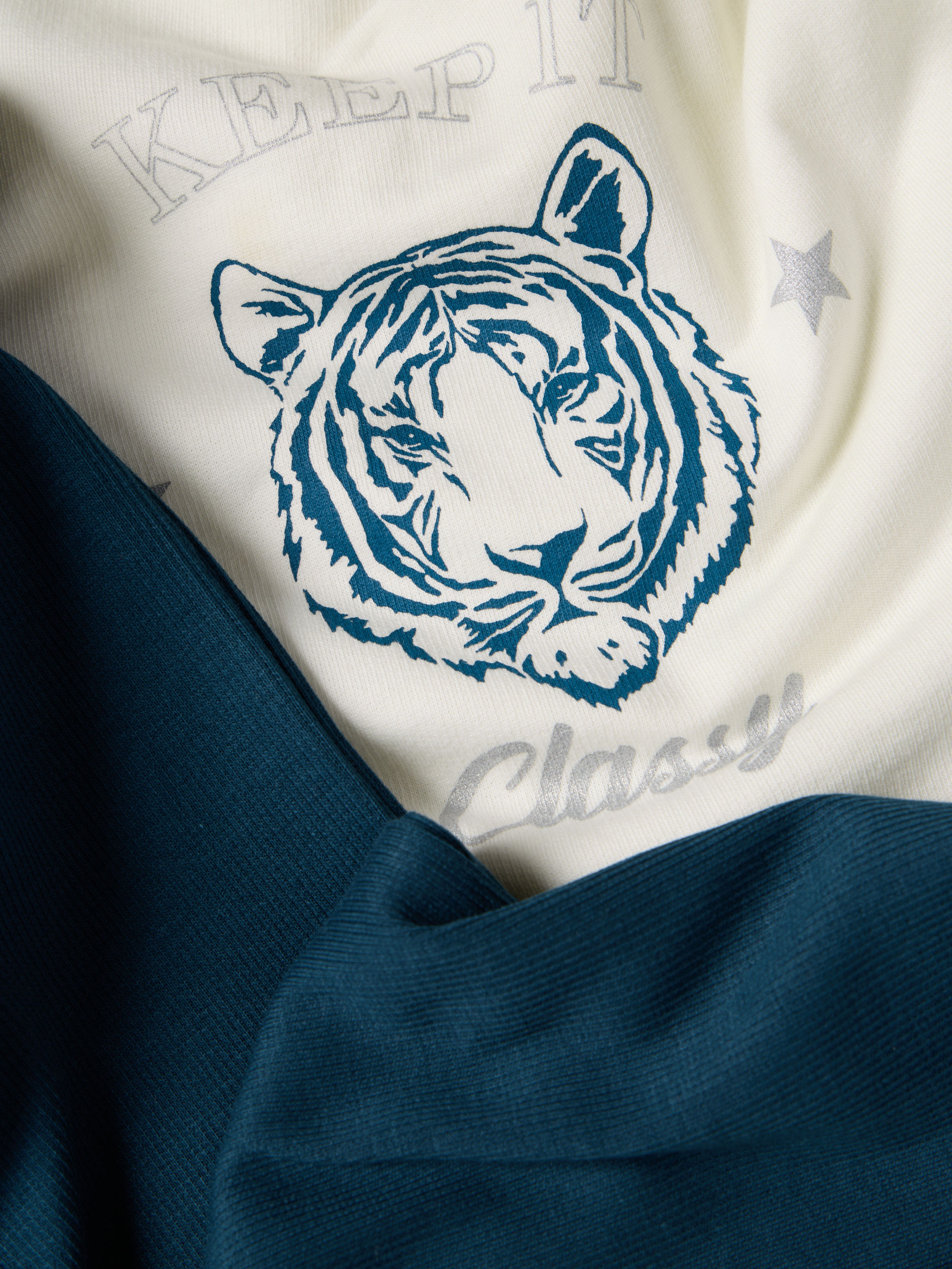 Conjunto de fato de treino