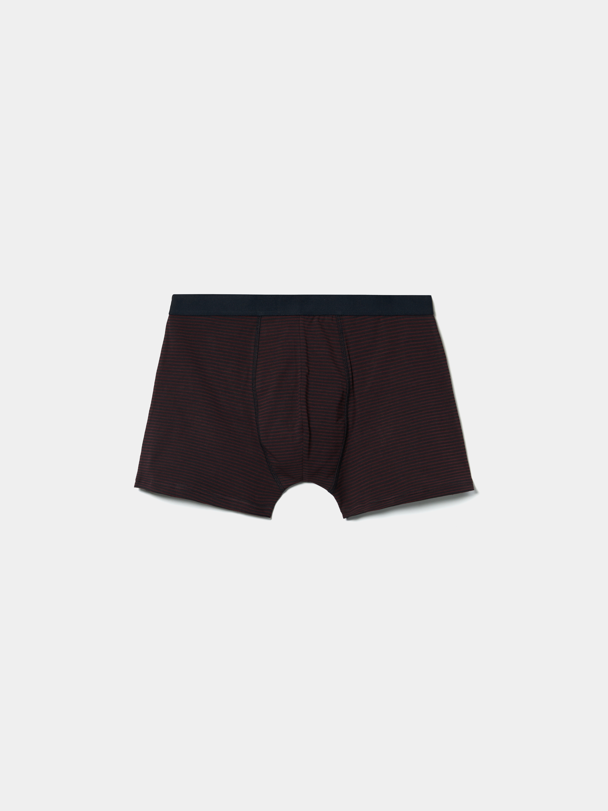 Boxer