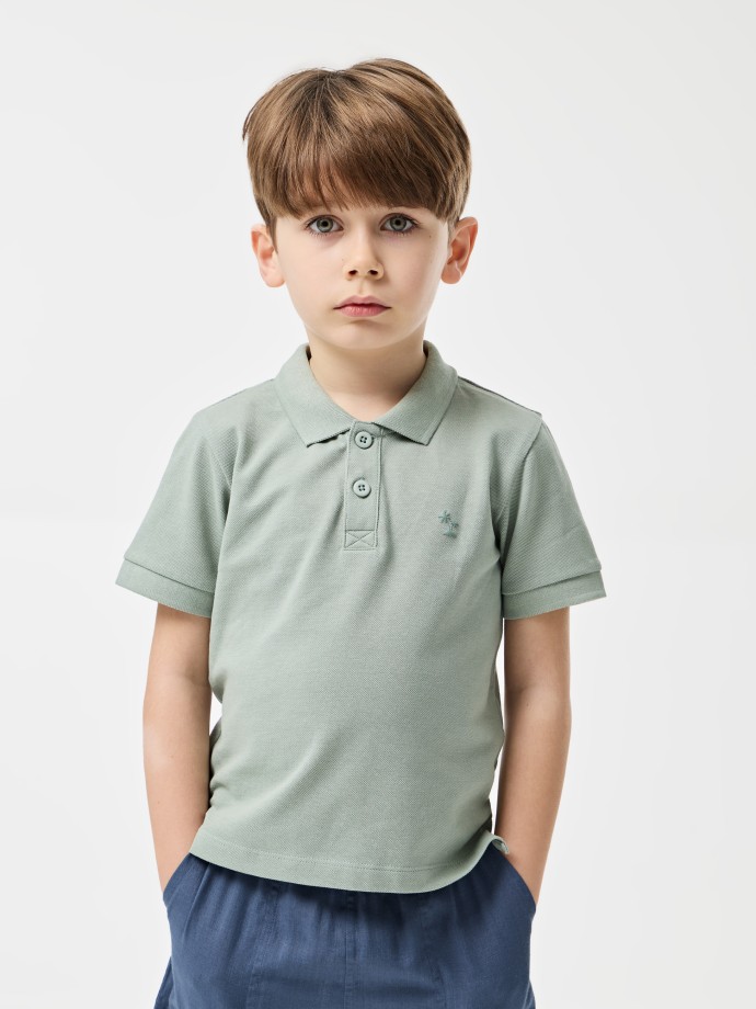 Polo Bsico