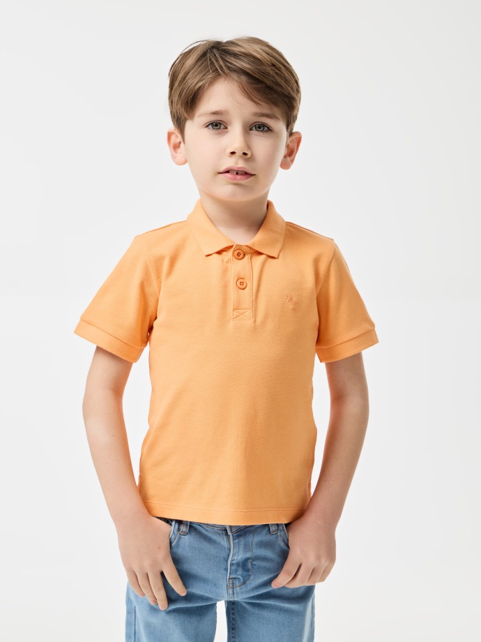 Polo Bsico