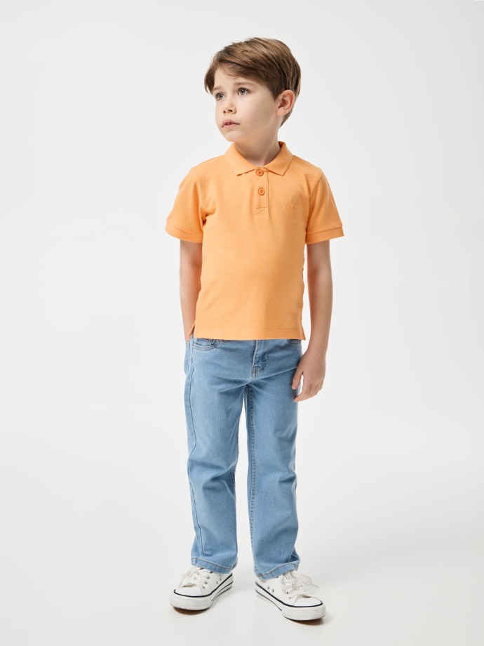 Polo Bsico