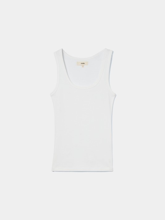 Singlet bsica