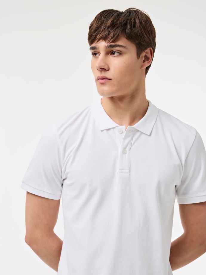 Polo Clssico