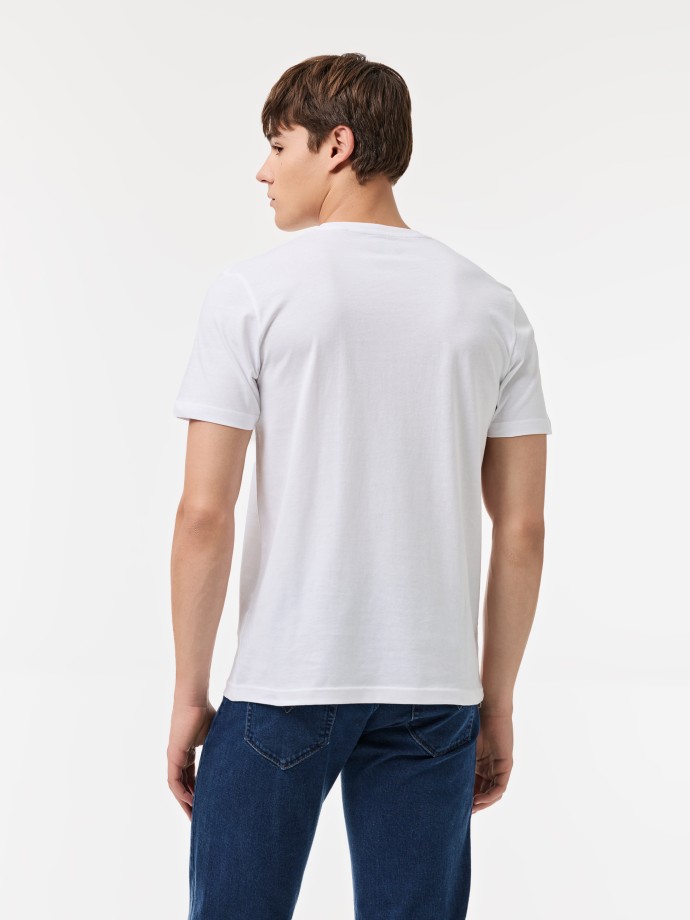 Pack de t-shirts bsicas