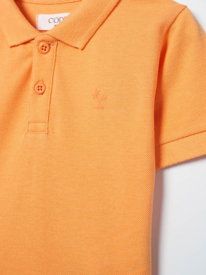 Polo Bsico 