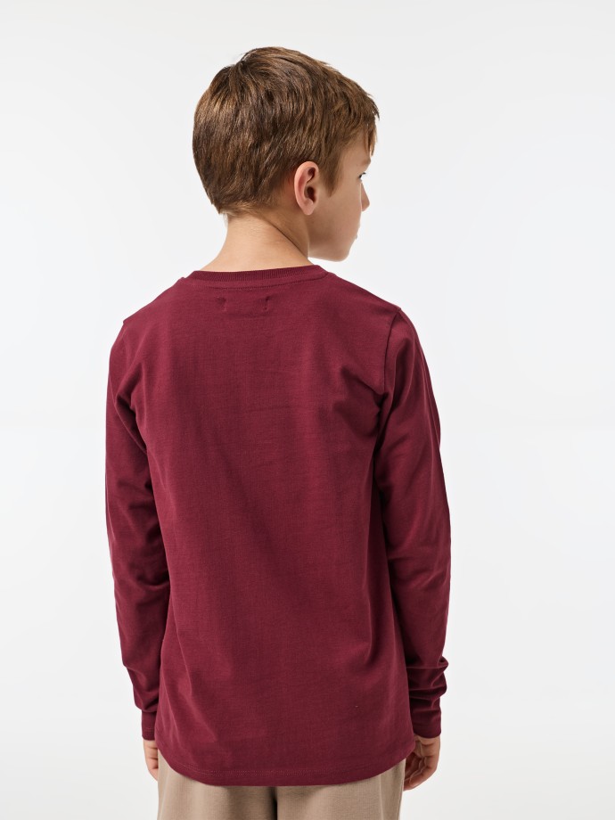 Camisola bsica