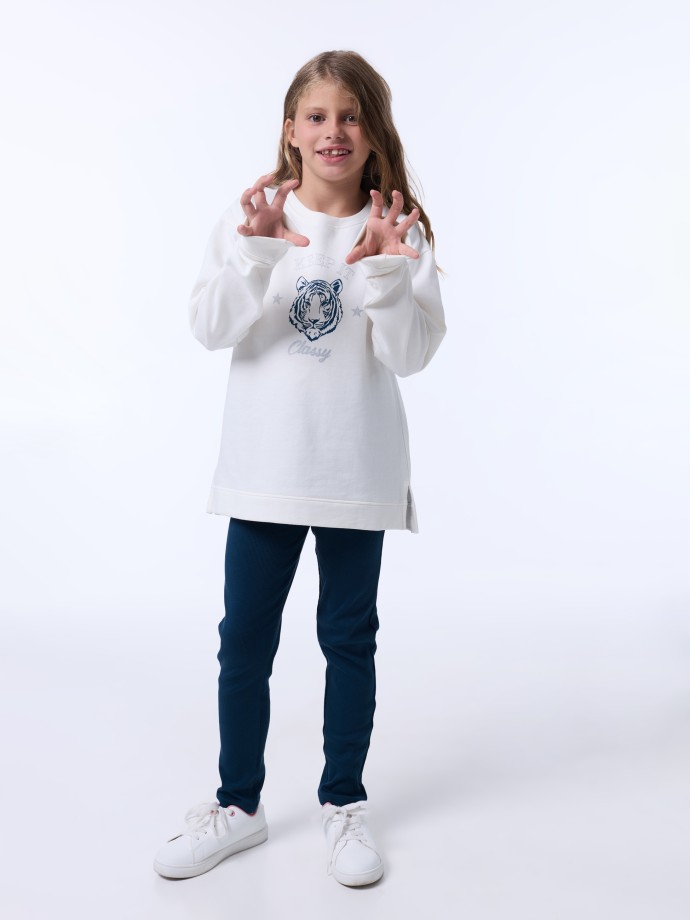 Conjunto de fato de treino