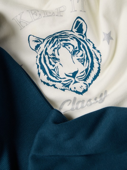 Conjunto de fato de treino Conjunto de fato de treino