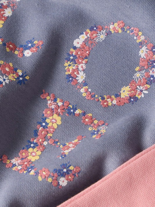 Conjunto de fato de treino Conjunto de fato de treino