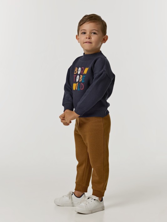 Conjunto de fato de treino Conjunto de fato de treino