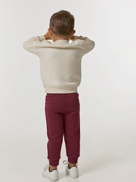 Conjunto de fato de treino Conjunto de fato de treino