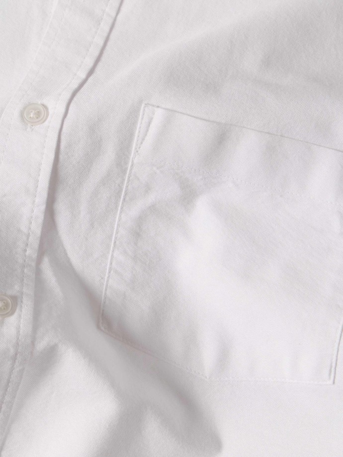 Camisa oxford algod�o regular fit
