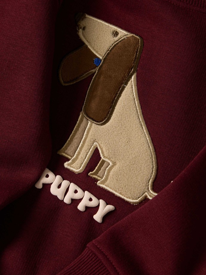 Sweatshirt com aplicação bordada Sweatshirt com aplicação bordada