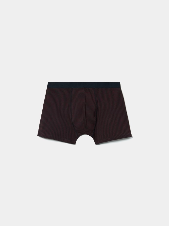 Boxer