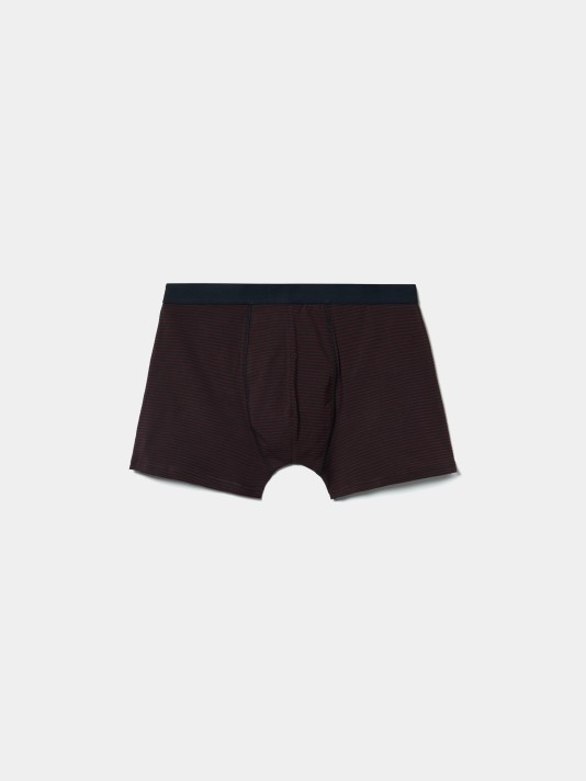 Boxer